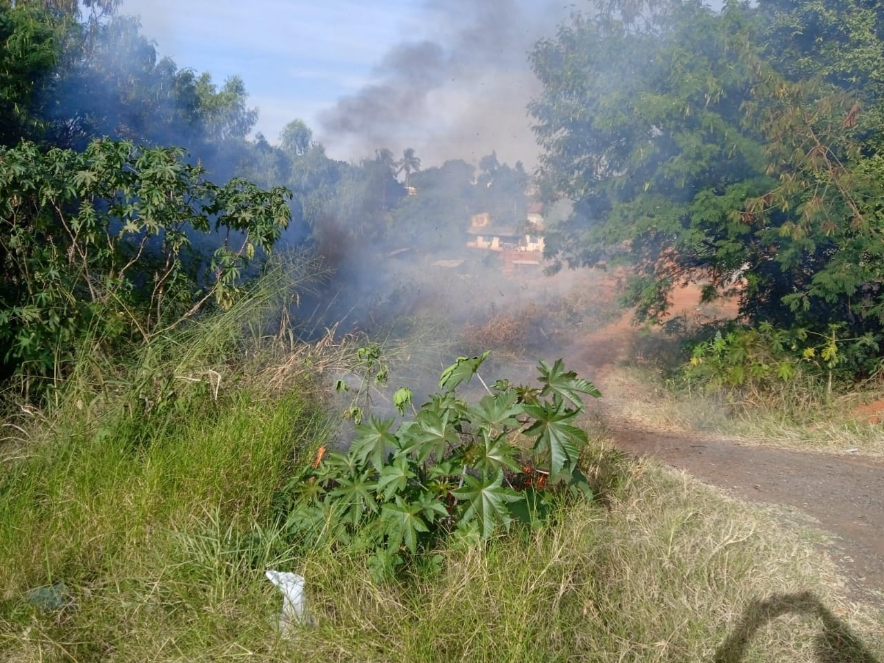 Imagem Noticia: a5e3d5fbcfe26333e2299e2fecf2ab5f.png
